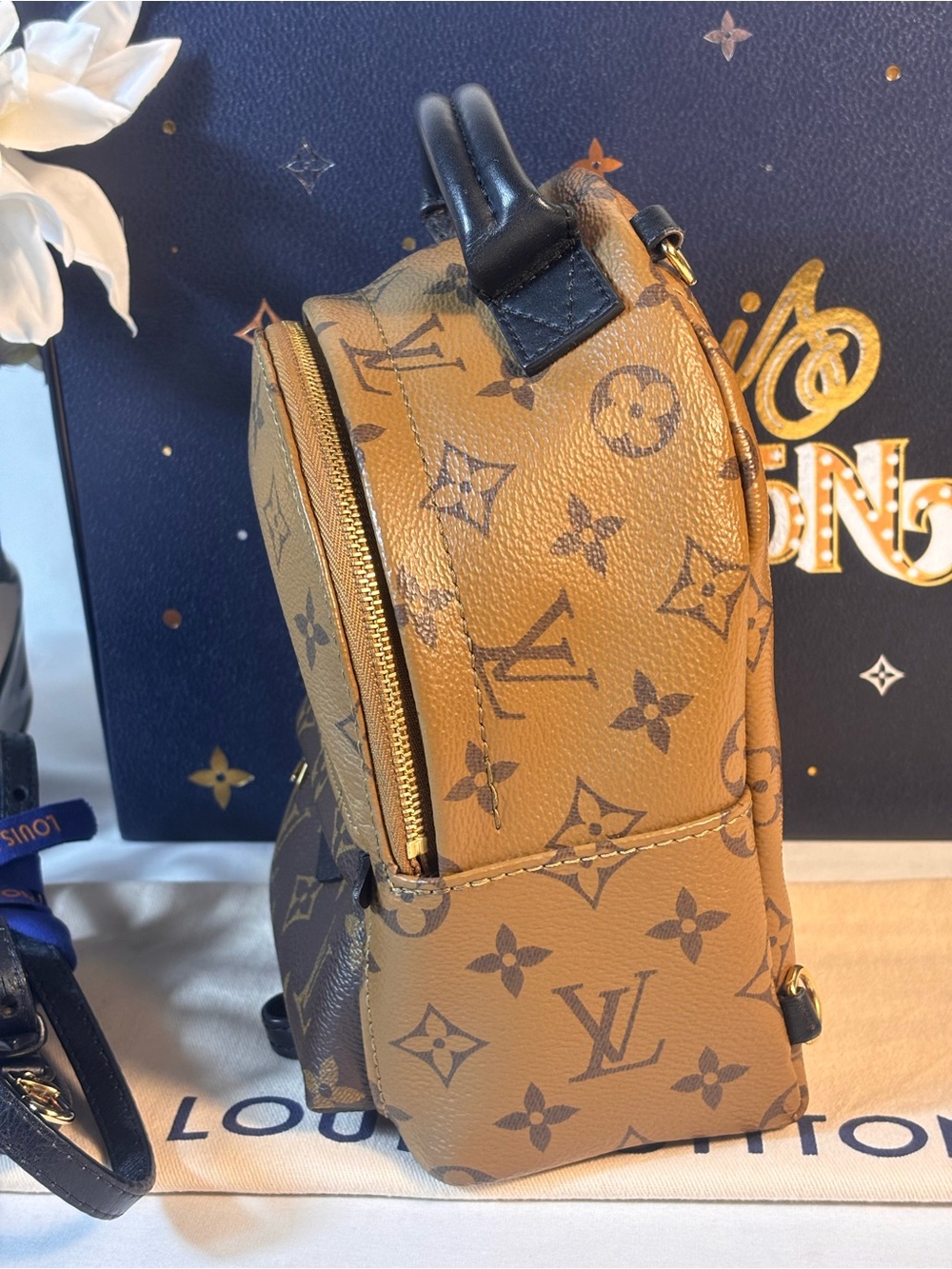 Louis Vuitton Reverse Palm Springs Mini - Picture 6 of 16